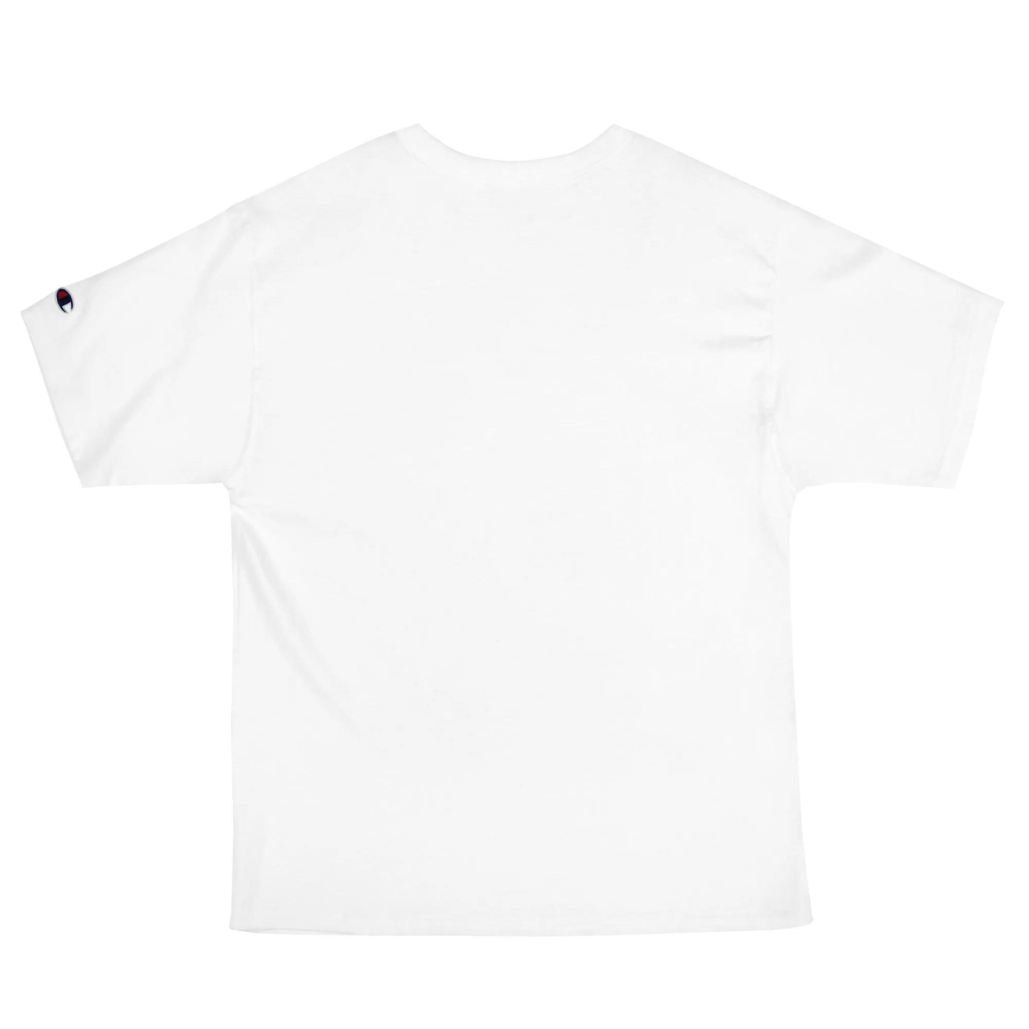 A GIRL WHO LOVES FENCING - Men's Champion T-Shirt