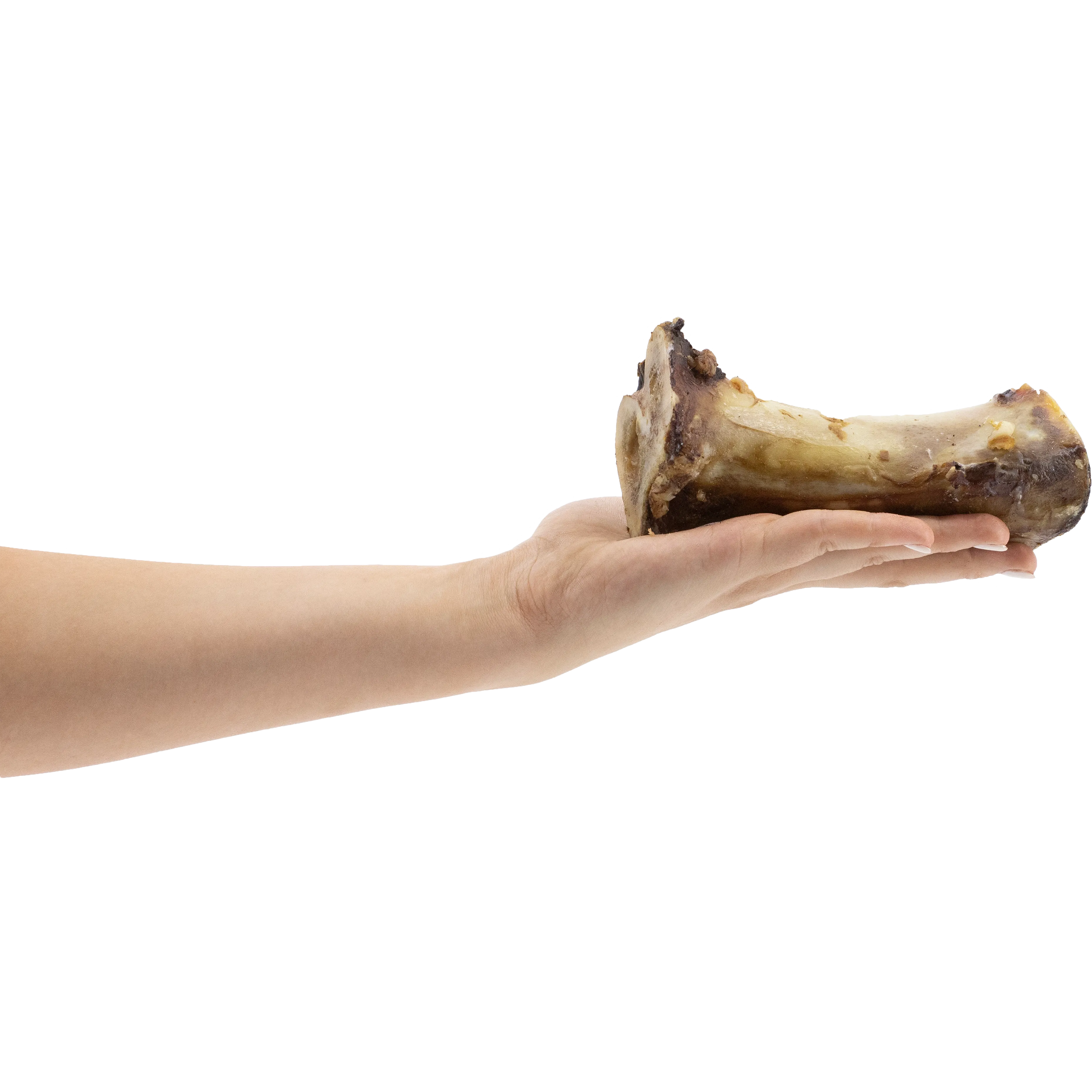BarkNBig USA Beef Marrow Bone Dog Treat, 5-6in