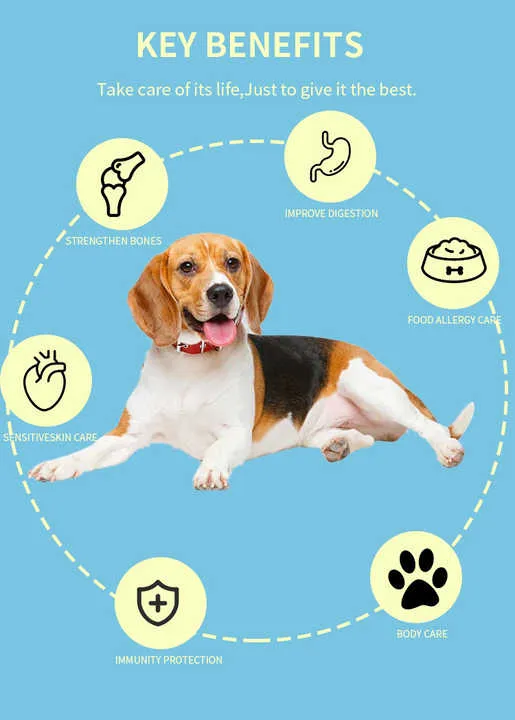 dog food .  طعام الكلب