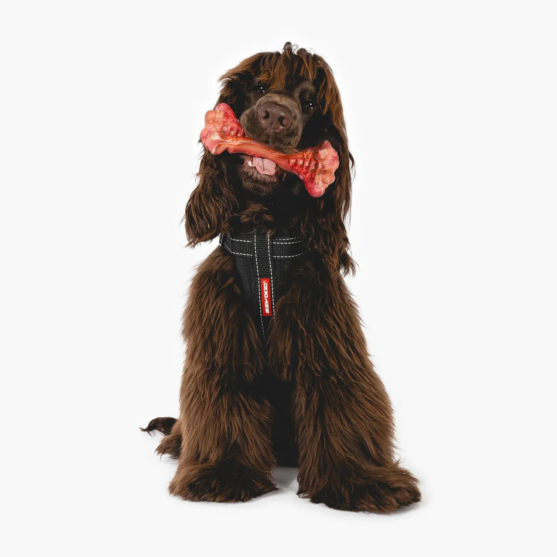 EzyDog Ezy Bones Beef Infused Dog Toy Medium