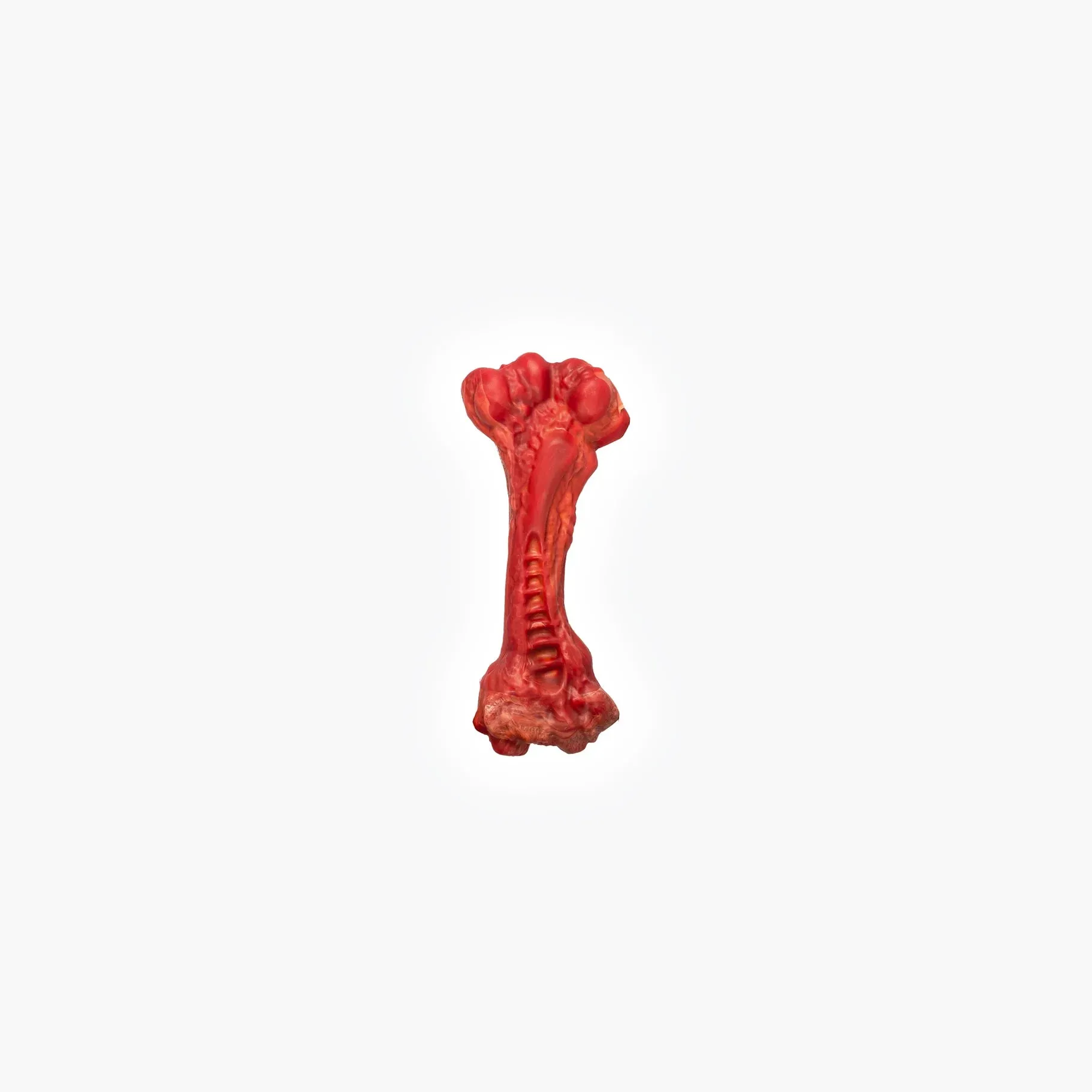 EzyDog Ezy Bones Beef Infused Dog Toy Small^^^