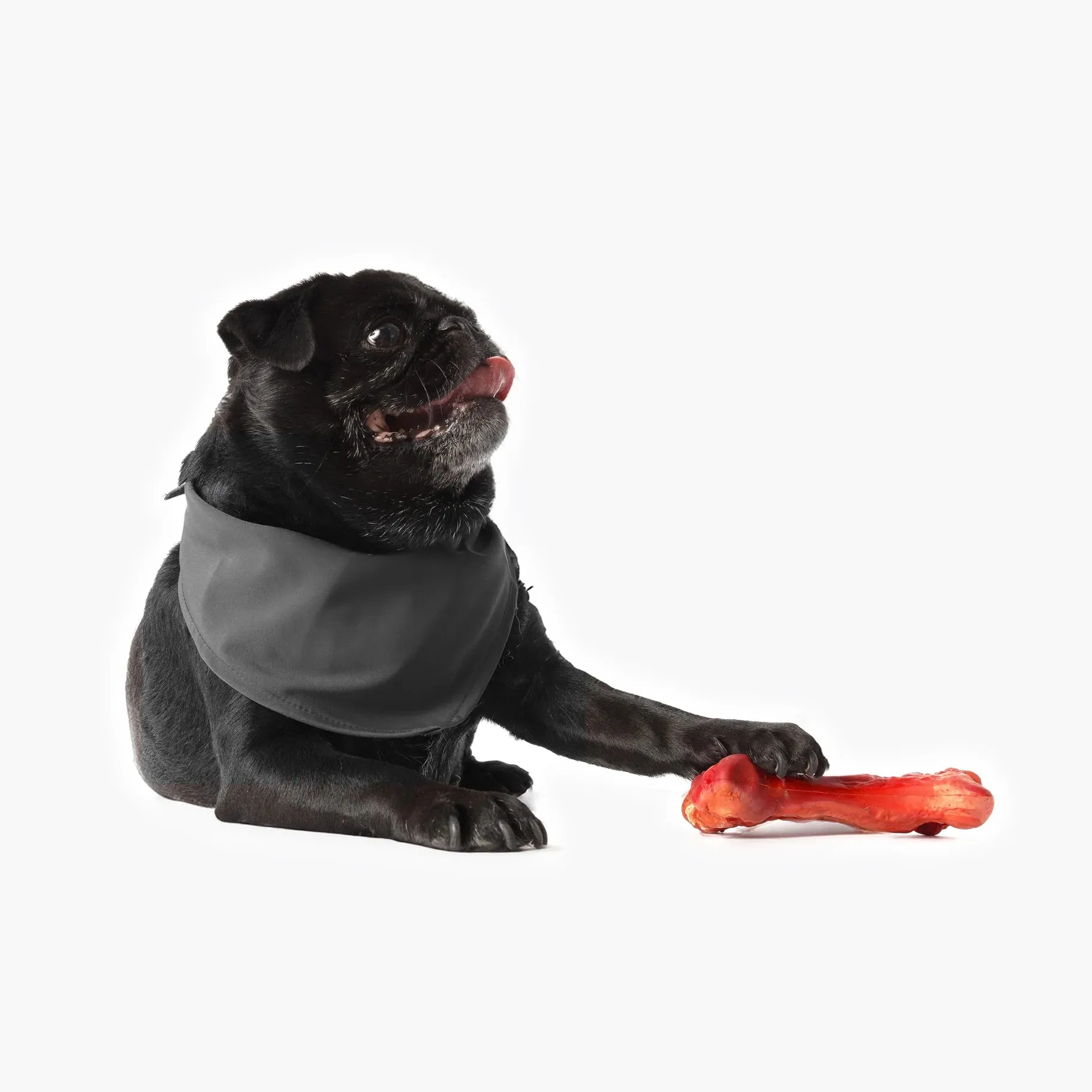EzyDog Ezy Bones Beef Infused Dog Toy Small^^^