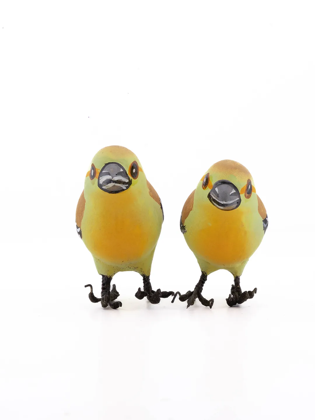 Marshall Ayora Paper Mache Birds Set of 2