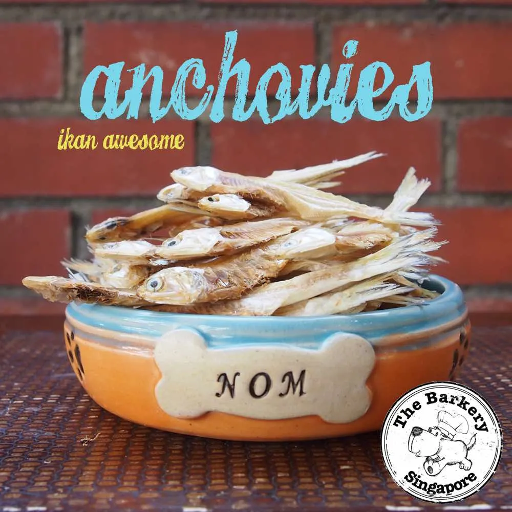 The Barkery Anchovies Dehydrated Dog Treats