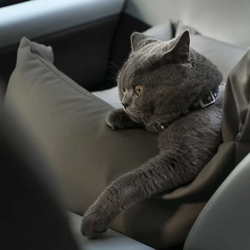 Waterproof and Anti-hair Pet Car Seat